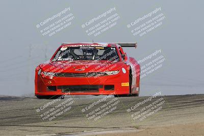 media/Nov-12-2023-GTA Finals Buttonwillow (Sun) [[806b9a7a9a]]/Group 1/Session 2 (Outside Grapevine)/